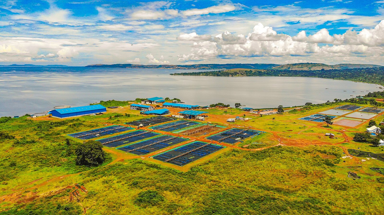 Sustainable Aquaculture: Technologies Shaping the Future